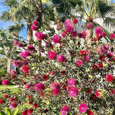 Alcazaba Lagoon, Estepona